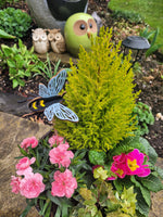 #5025 - Bee Stakes - Pack of 3