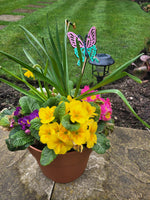 #5024 - Butterfly Stakes - Pack of 3