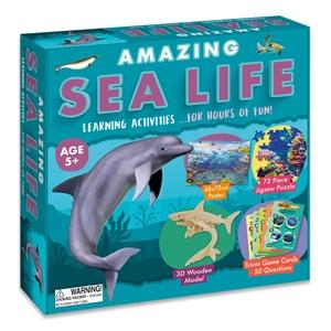 Amazing Activity Set - Sea Life